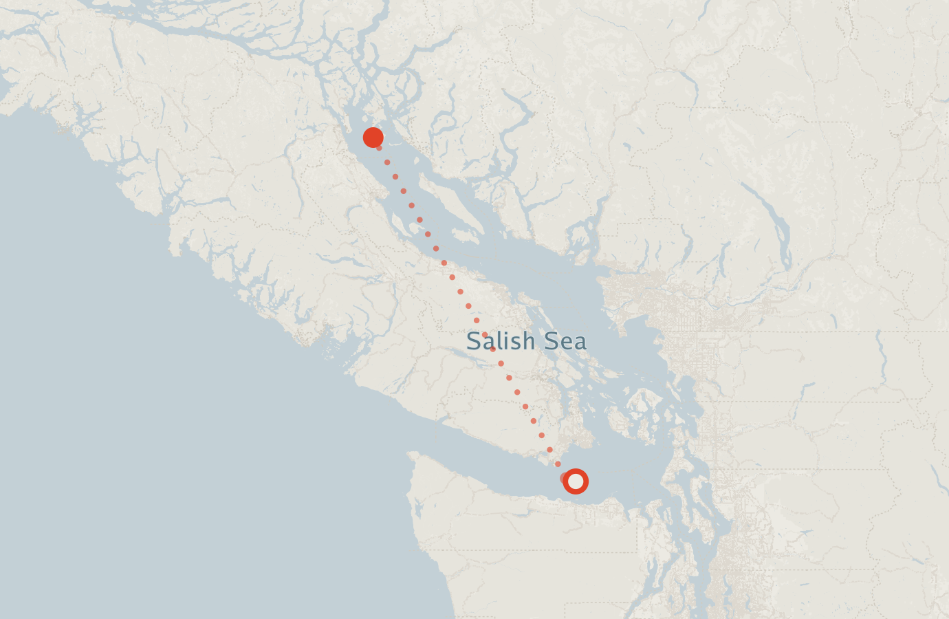 Activity map — real sighting points on an OpenStreetMap basemap