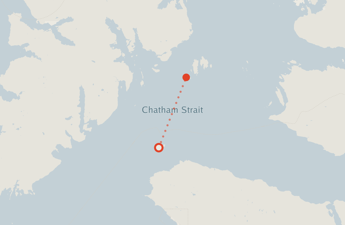 Activity map — real sighting points on an OpenStreetMap basemap