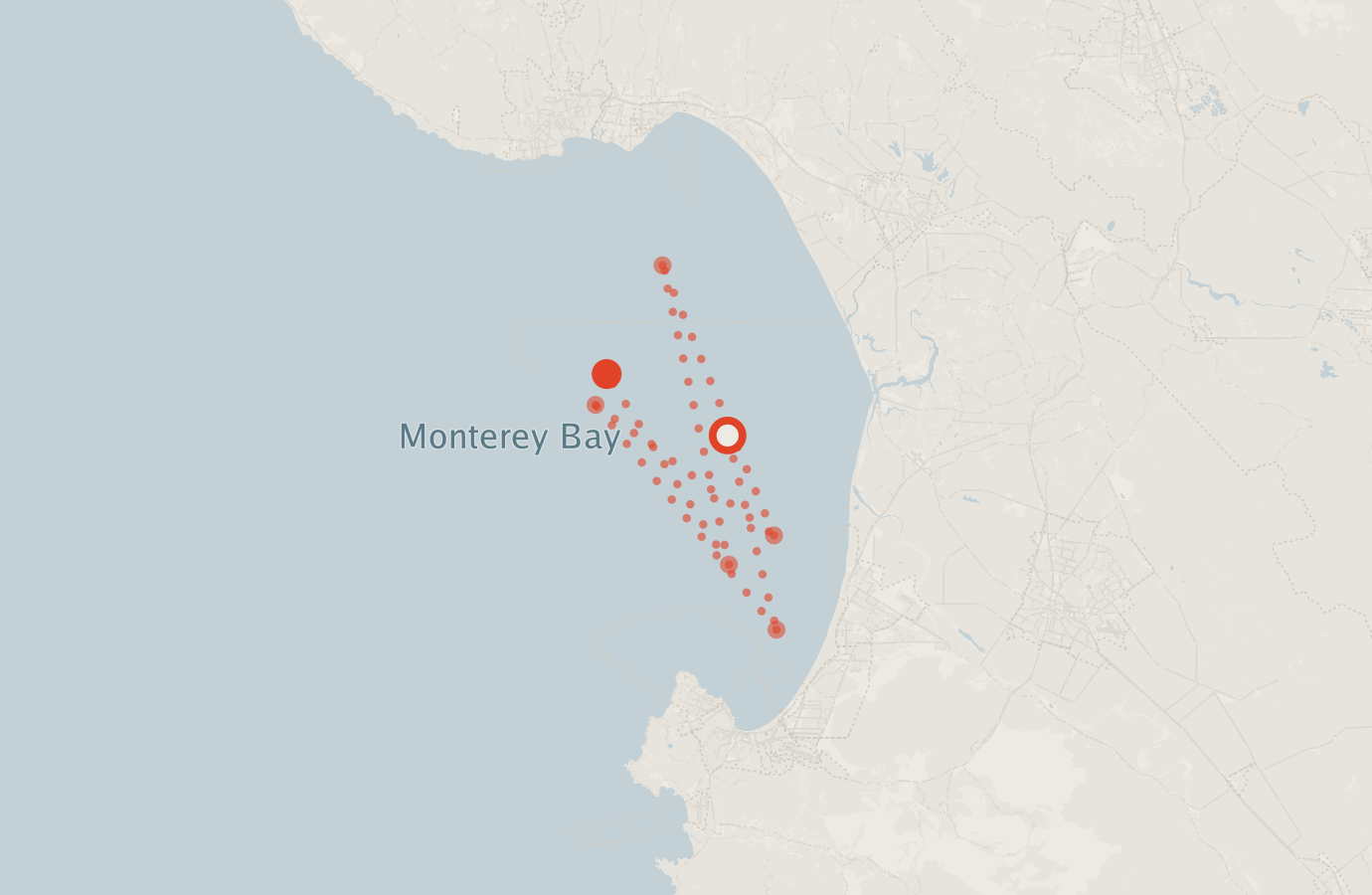 Activity map — real sighting points on an OpenStreetMap basemap