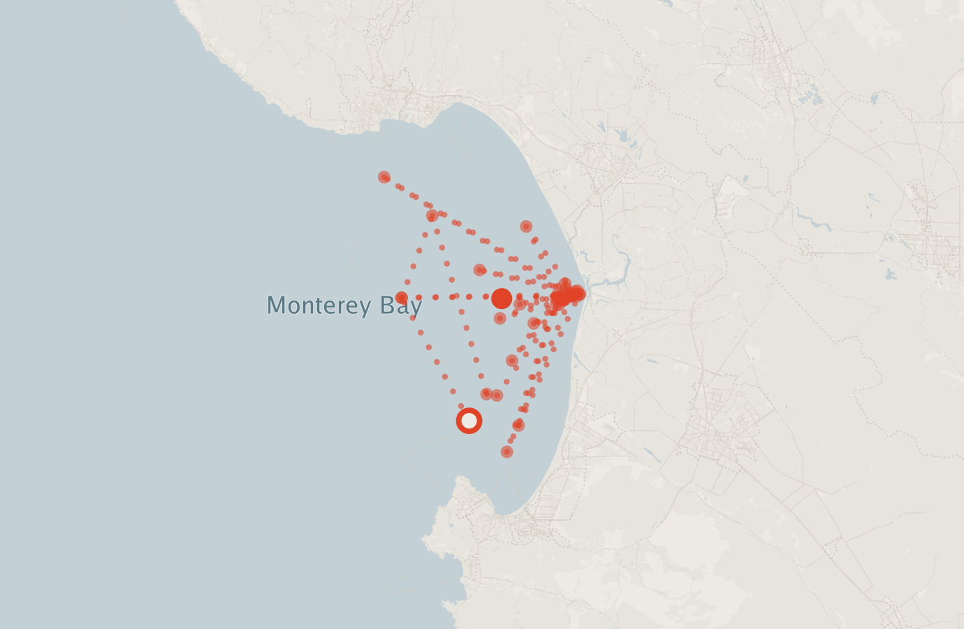Activity map — real sighting points on an OpenStreetMap basemap