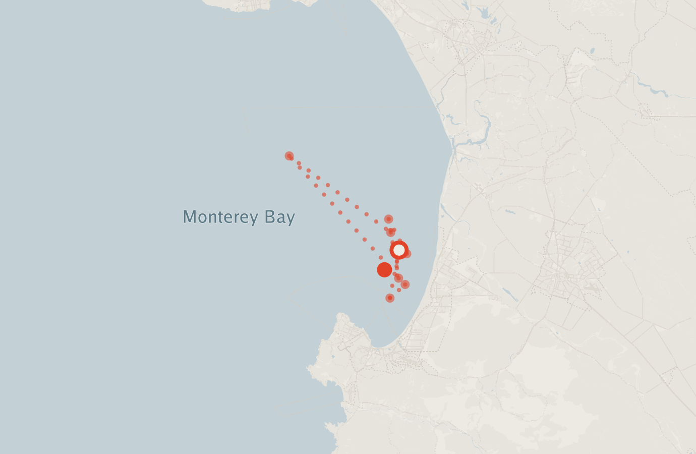 Activity map — real sighting points on an OpenStreetMap basemap