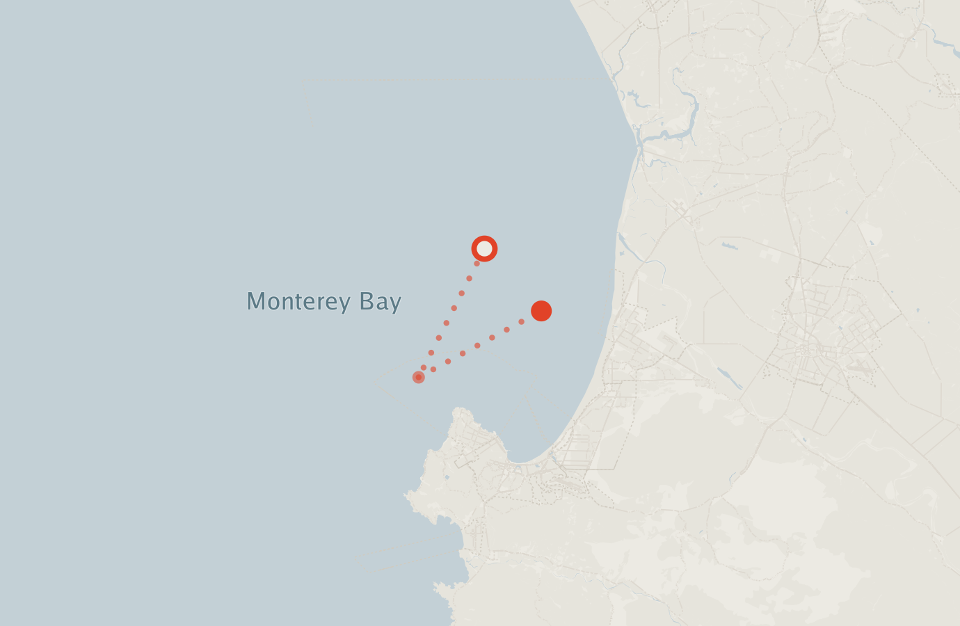 Activity map — real sighting points on an OpenStreetMap basemap