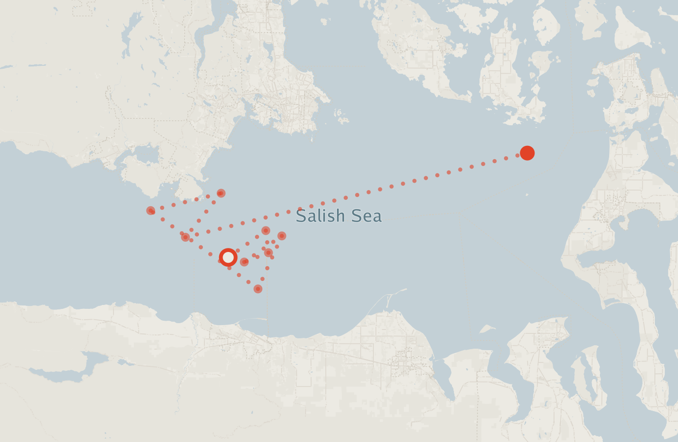 Activity map — real sighting points on an OpenStreetMap basemap