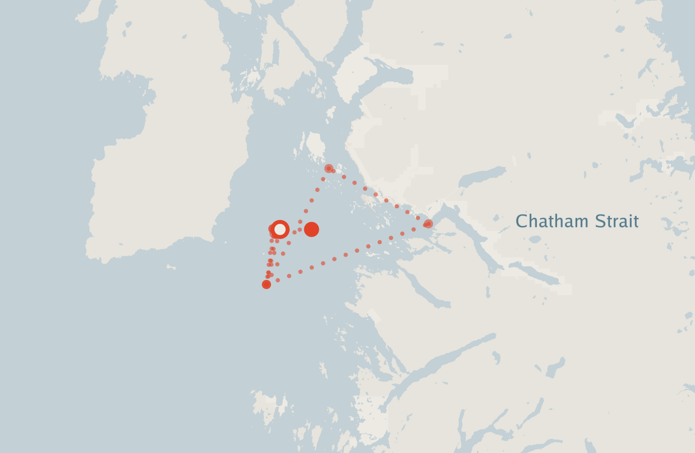Activity map — real sighting points on an OpenStreetMap basemap
