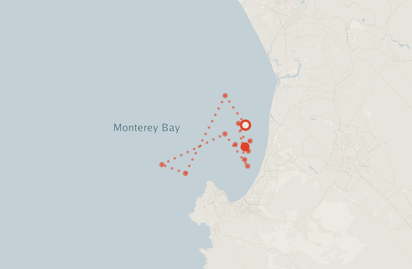 Activity map — real sighting points on an OpenStreetMap basemap