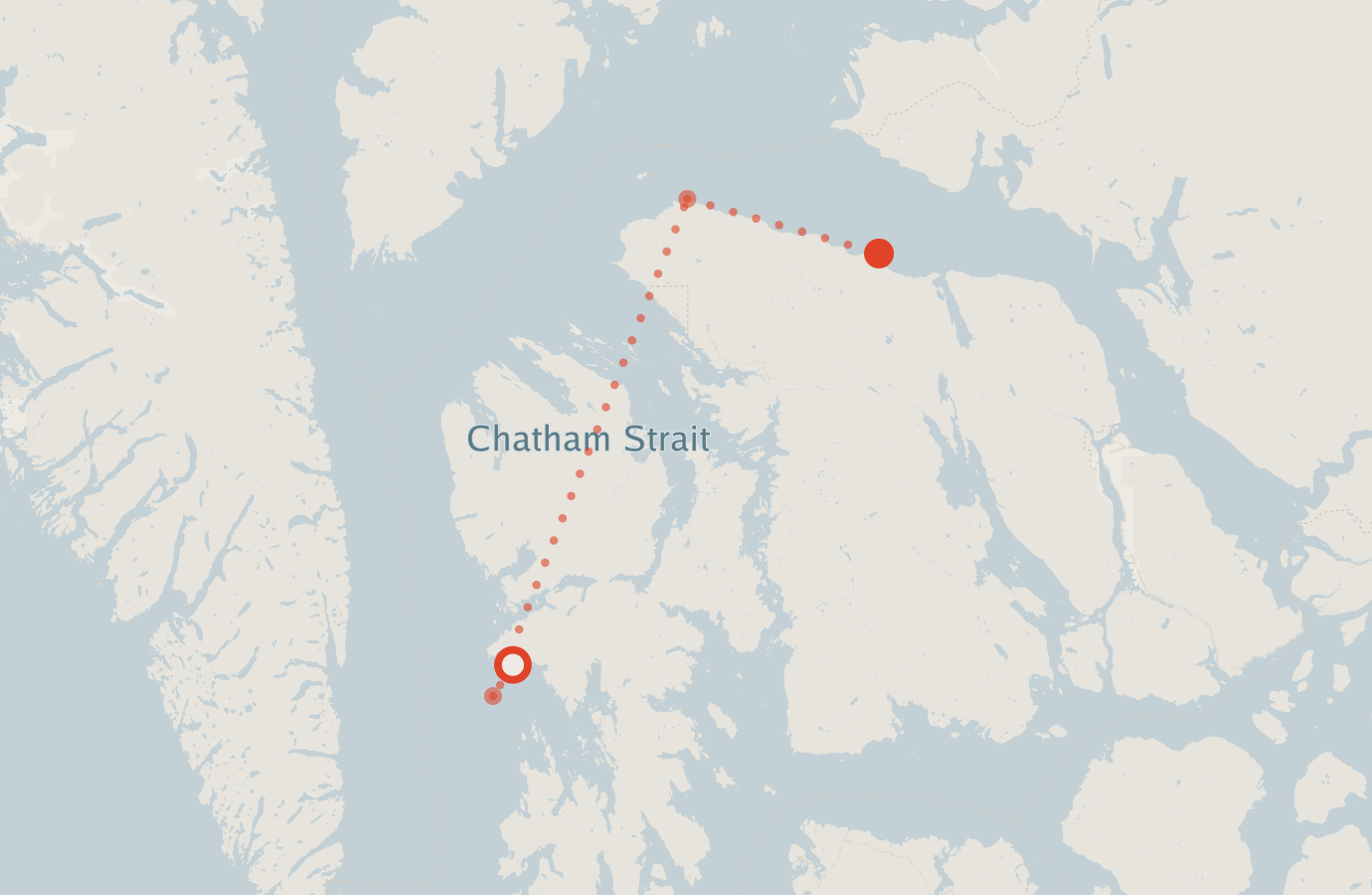 Activity map — real sighting points on an OpenStreetMap basemap