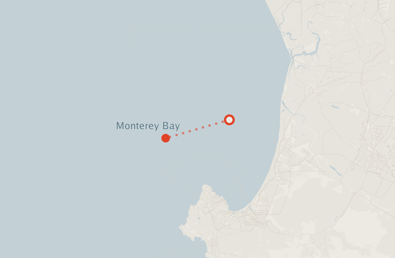 Activity map — real sighting points on an OpenStreetMap basemap