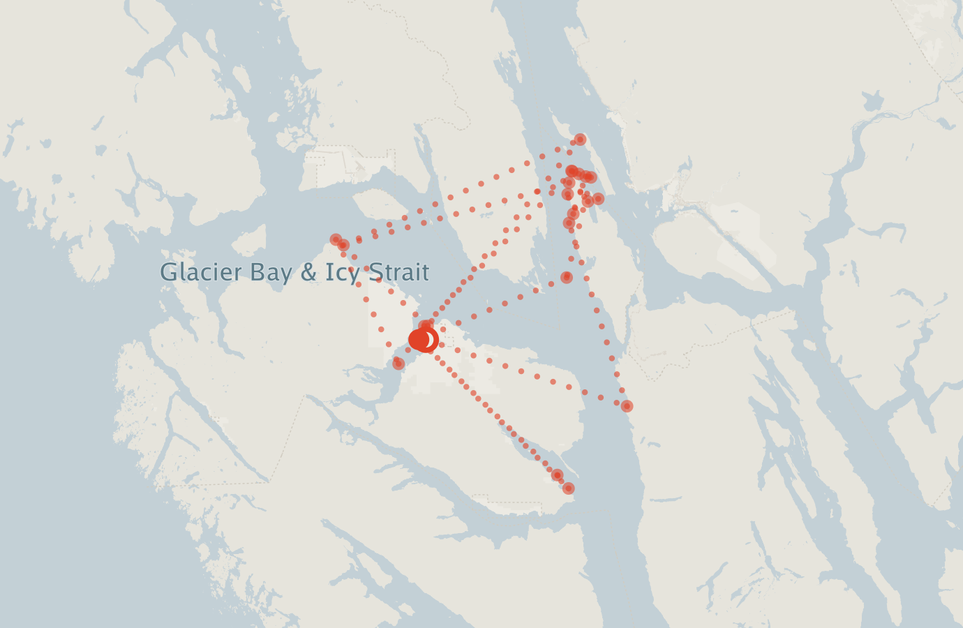 Activity map — real sighting points on an OpenStreetMap basemap