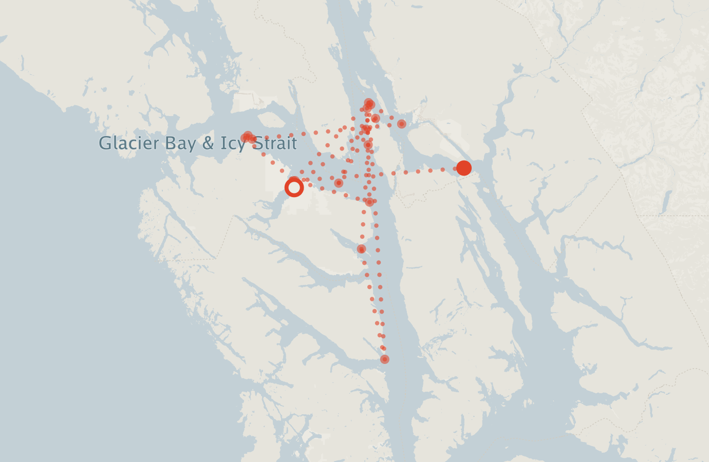 Activity map — real sighting points on an OpenStreetMap basemap