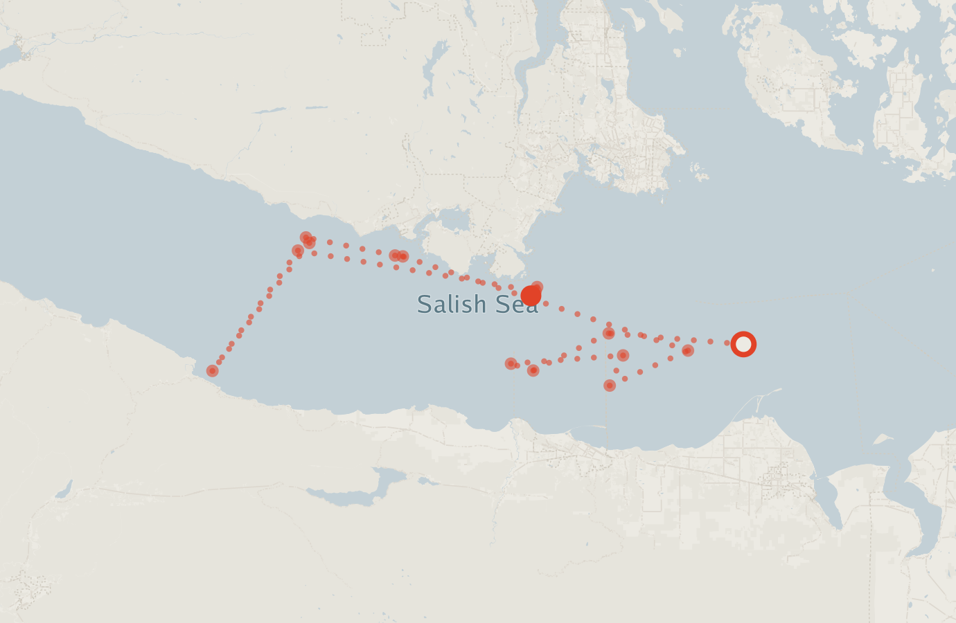 Activity map — real sighting points on an OpenStreetMap basemap