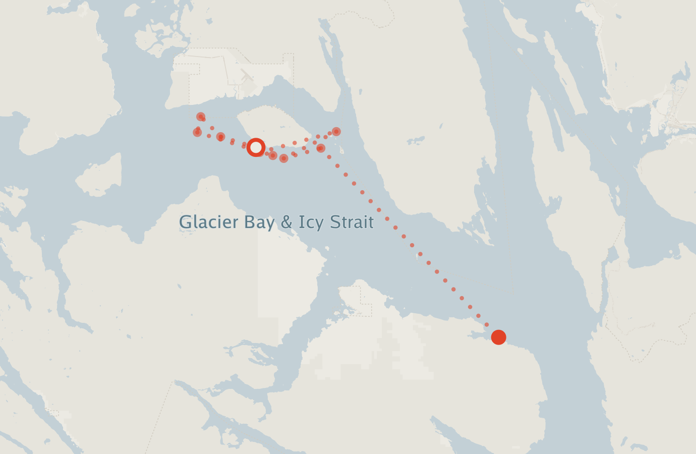 Activity map — real sighting points on an OpenStreetMap basemap