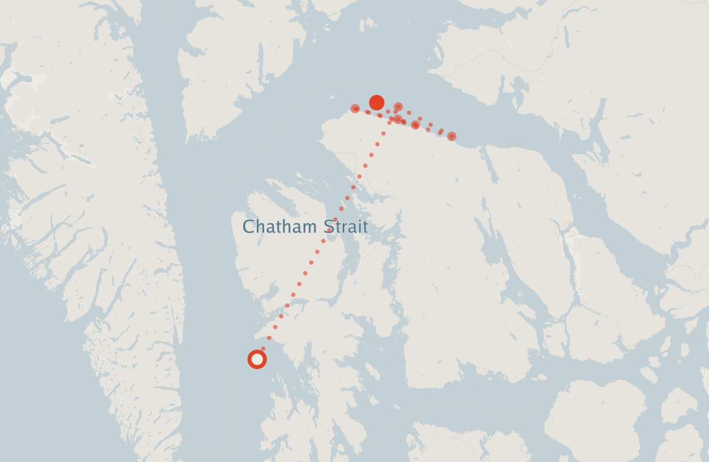 Activity map — real sighting points on an OpenStreetMap basemap