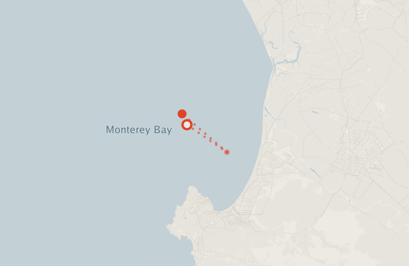 Activity map — real sighting points on an OpenStreetMap basemap