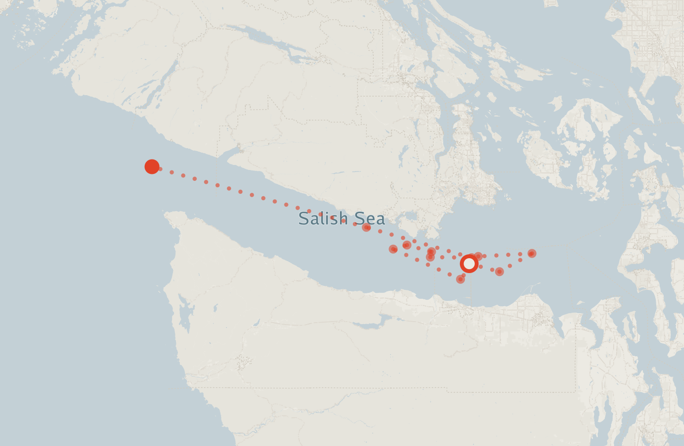 Activity map — real sighting points on an OpenStreetMap basemap