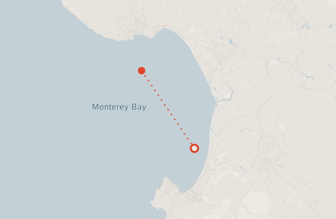 Activity map — real sighting points on an OpenStreetMap basemap