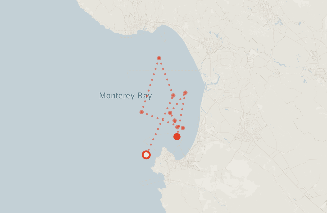 Activity map — real sighting points on an OpenStreetMap basemap