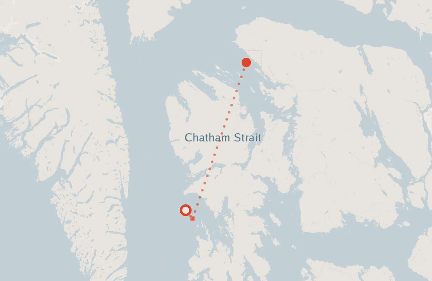 Activity map — real sighting points on an OpenStreetMap basemap