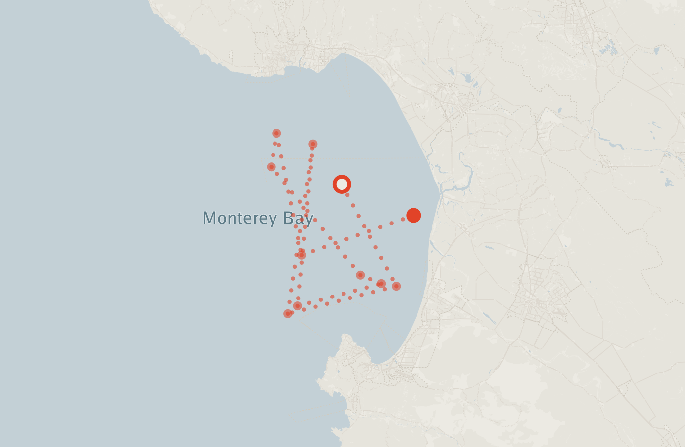 Activity map — real sighting points on an OpenStreetMap basemap