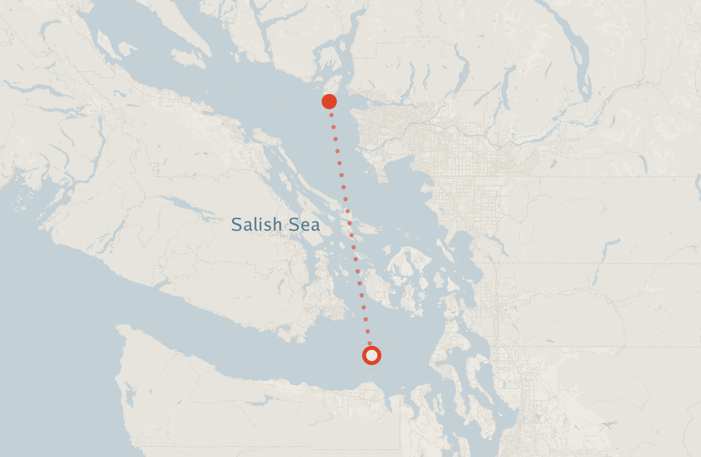 Activity map — real sighting points on an OpenStreetMap basemap