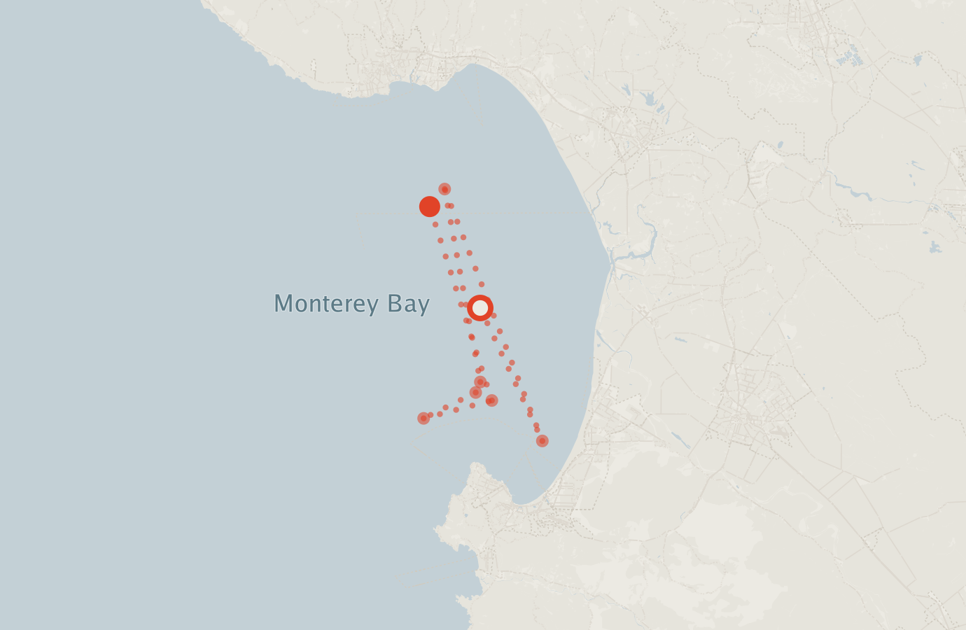 Activity map — real sighting points on an OpenStreetMap basemap