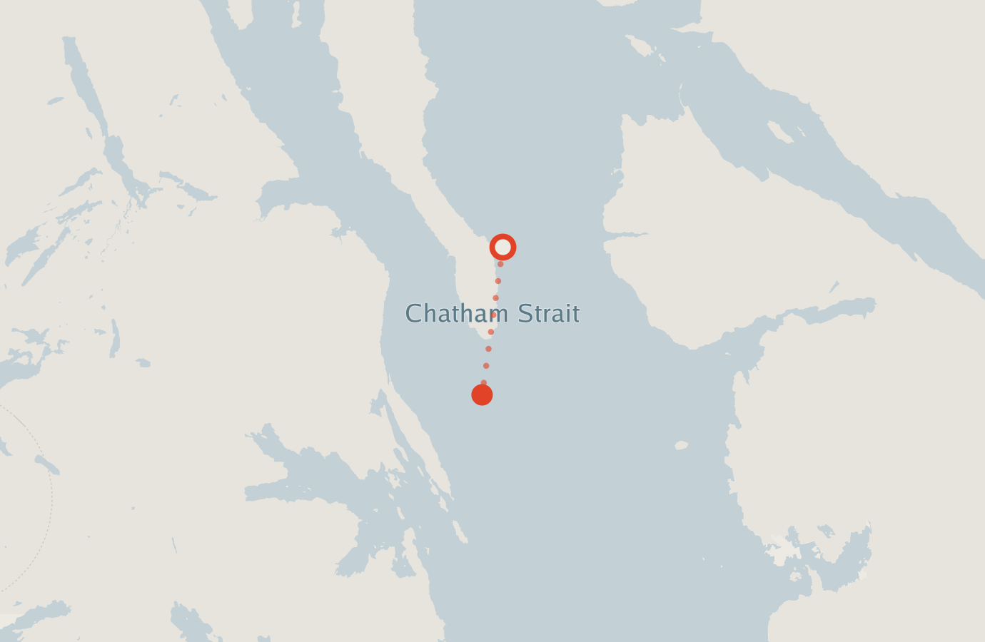 Activity map — real sighting points on an OpenStreetMap basemap