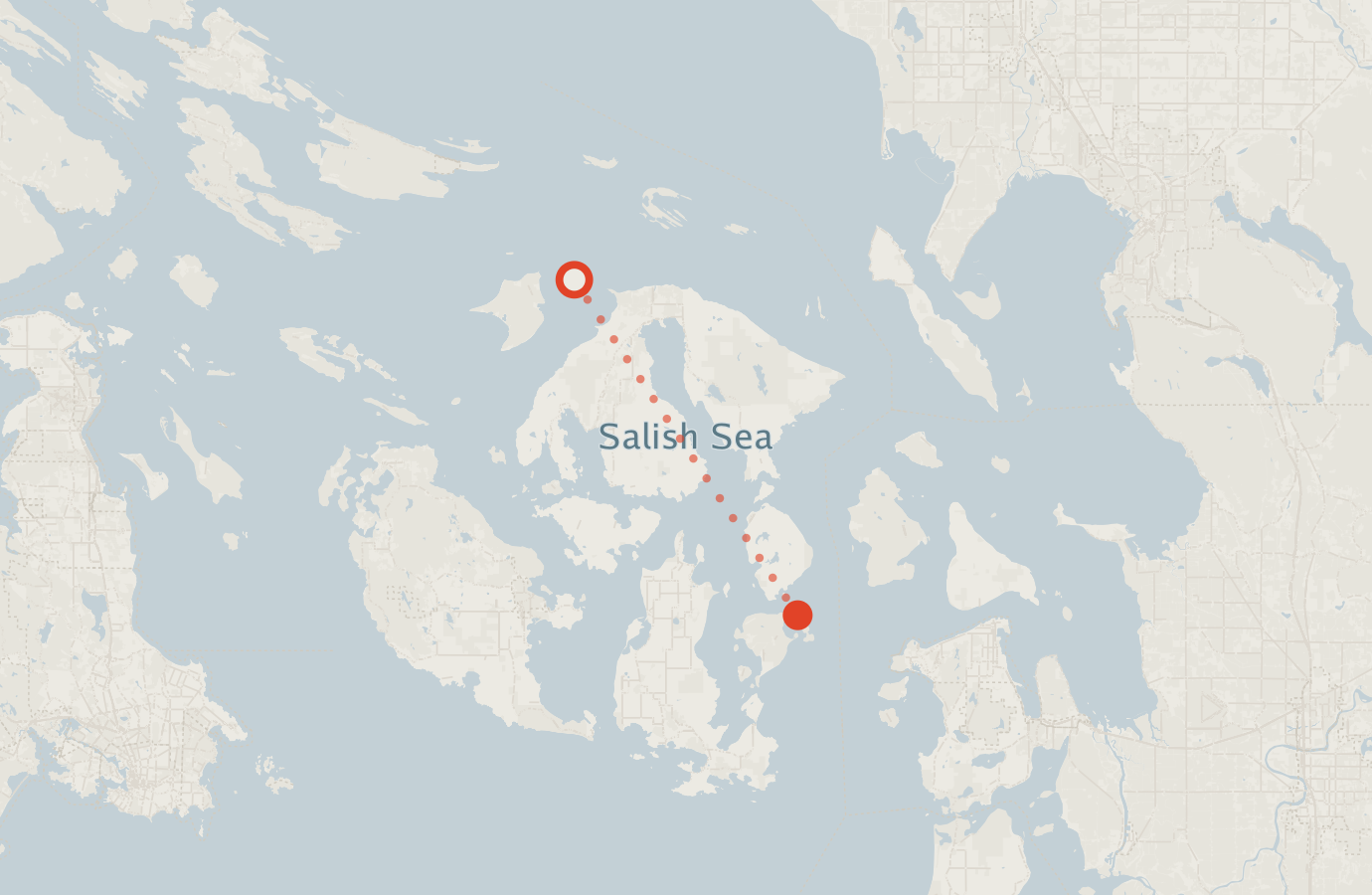 Activity map — real sighting points on an OpenStreetMap basemap