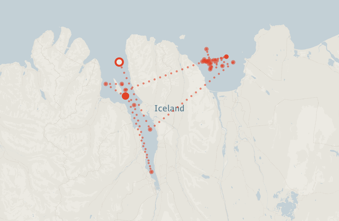 Activity map — real sighting points on an OpenStreetMap basemap