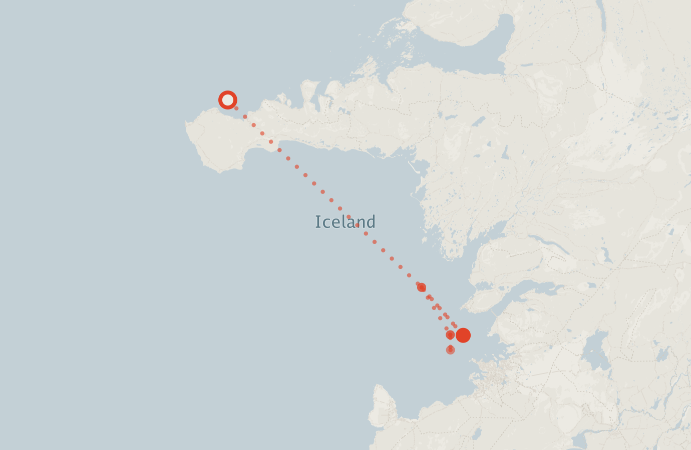 Activity map — real sighting points on an OpenStreetMap basemap