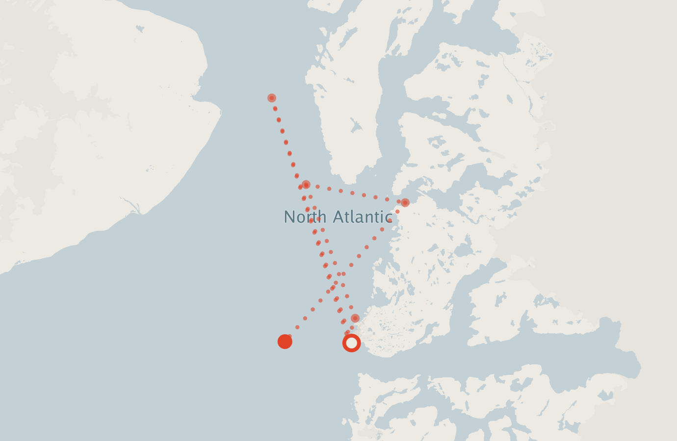 Activity map — real sighting points on an OpenStreetMap basemap