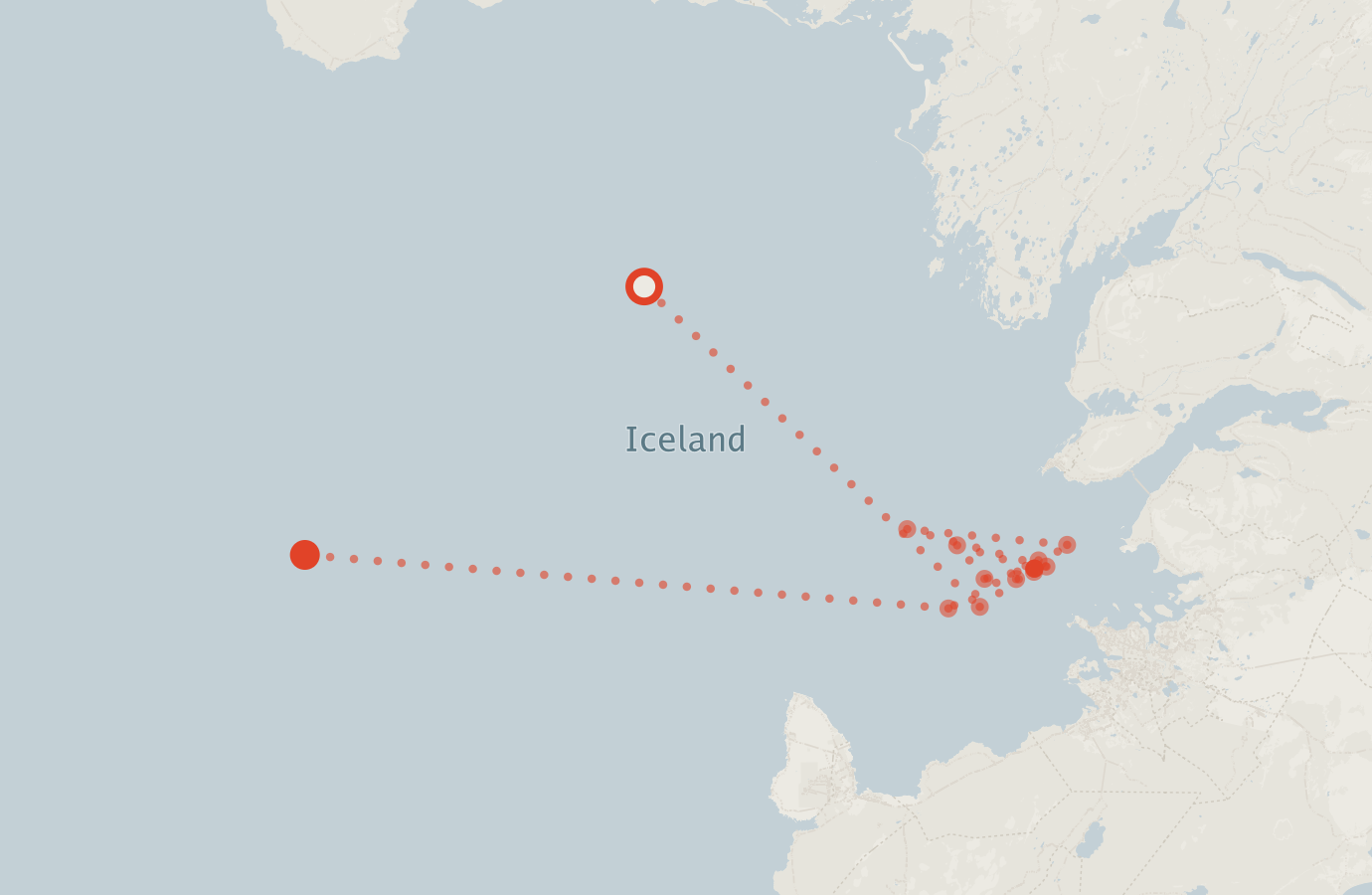 Activity map — real sighting points on an OpenStreetMap basemap