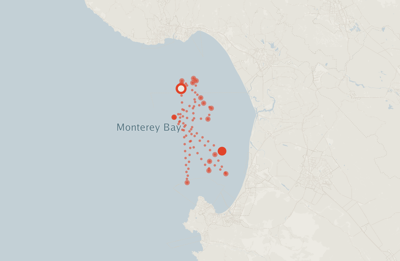 Activity map — real sighting points on an OpenStreetMap basemap