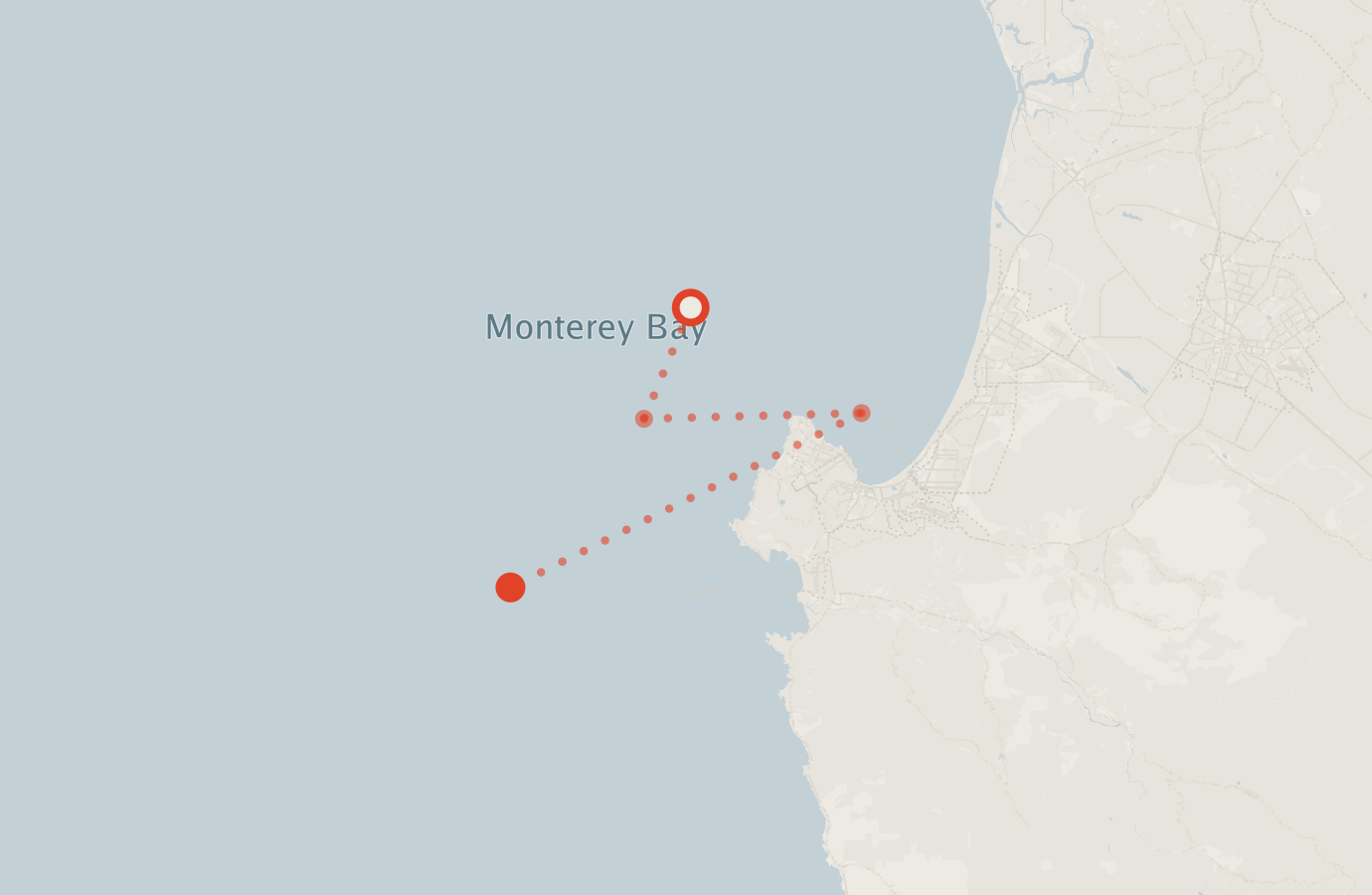 Activity map — real sighting points on an OpenStreetMap basemap