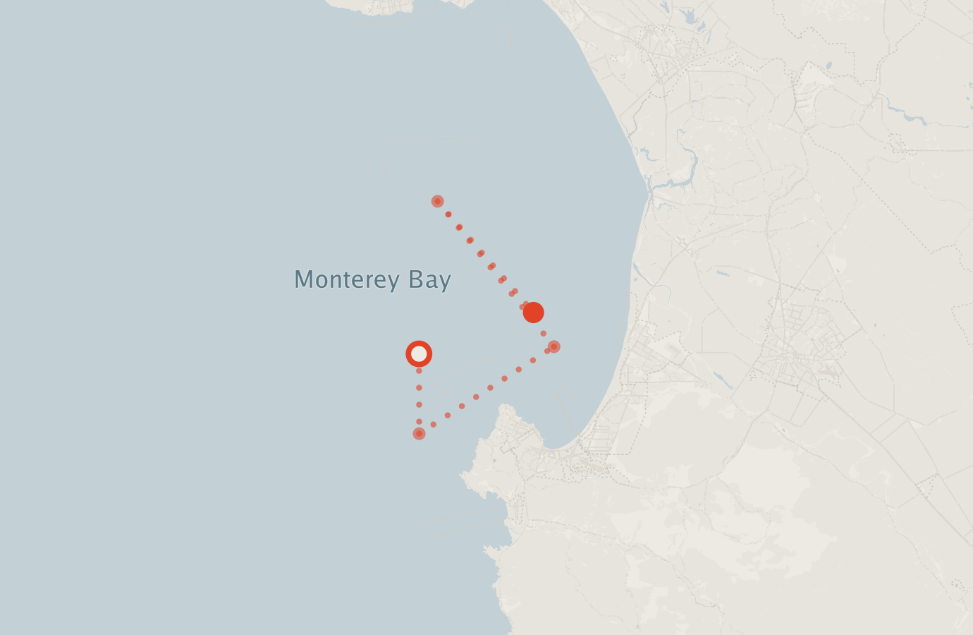 Activity map — real sighting points on an OpenStreetMap basemap