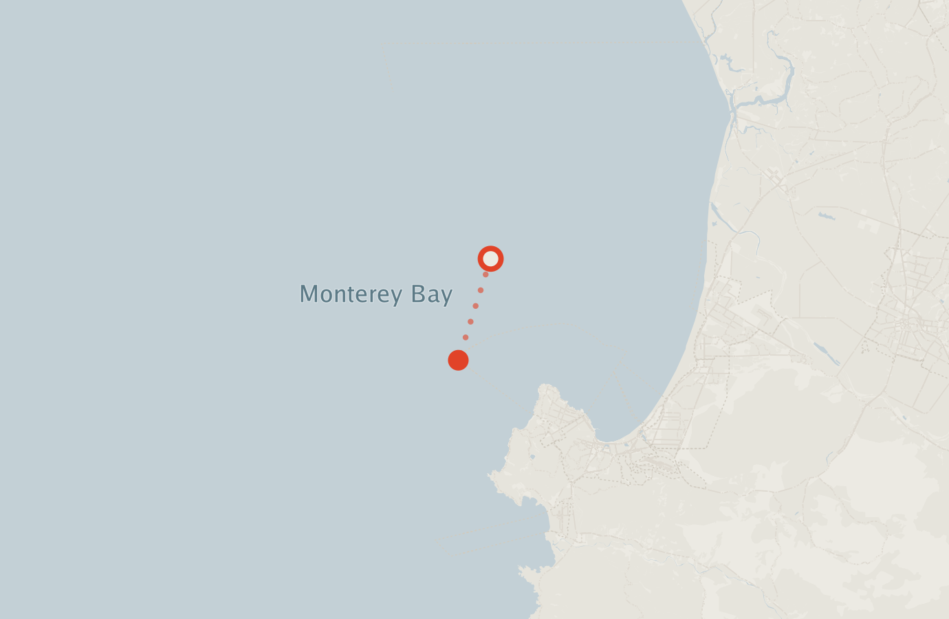 Activity map — real sighting points on an OpenStreetMap basemap