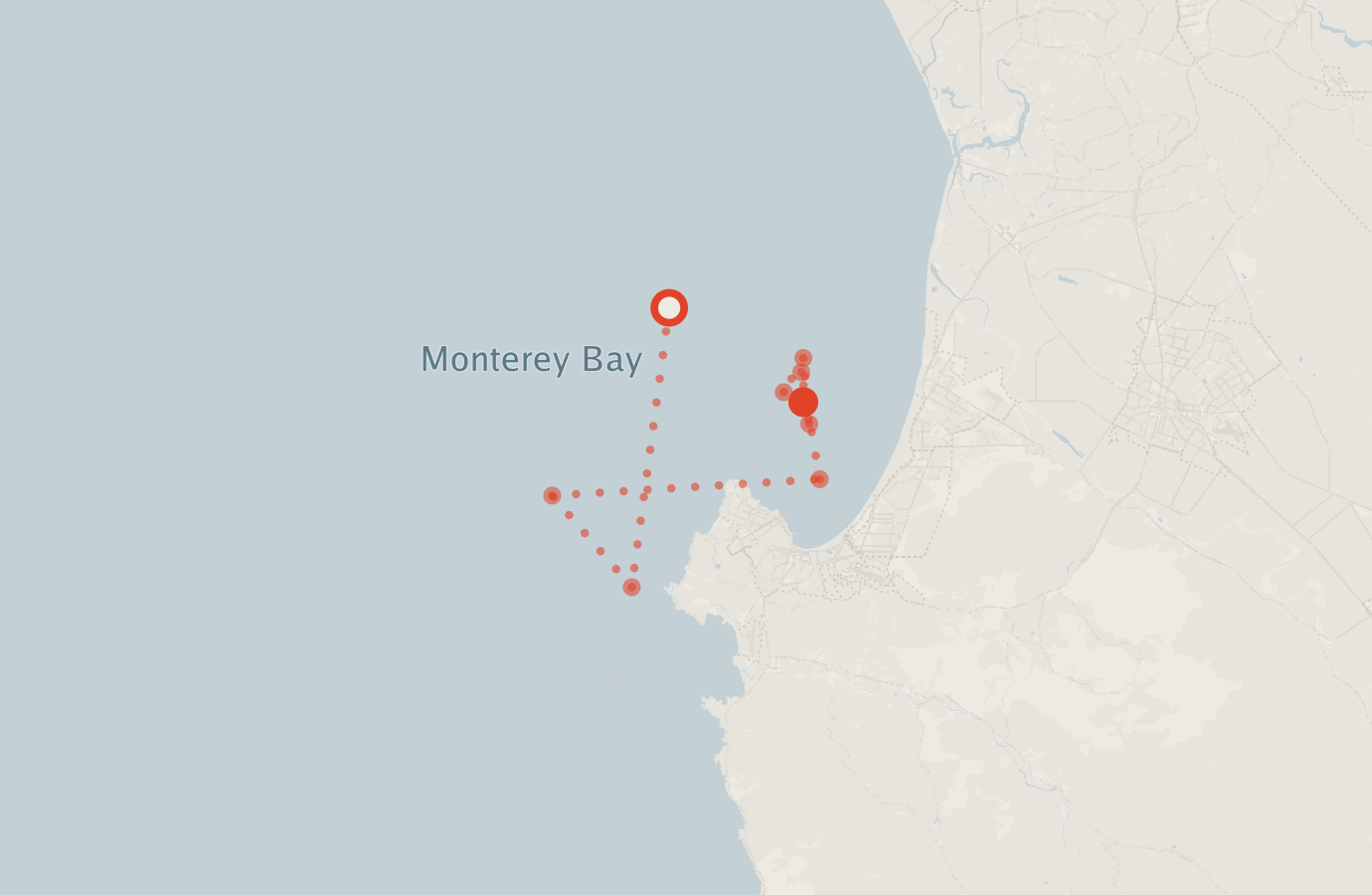 Activity map — real sighting points on an OpenStreetMap basemap