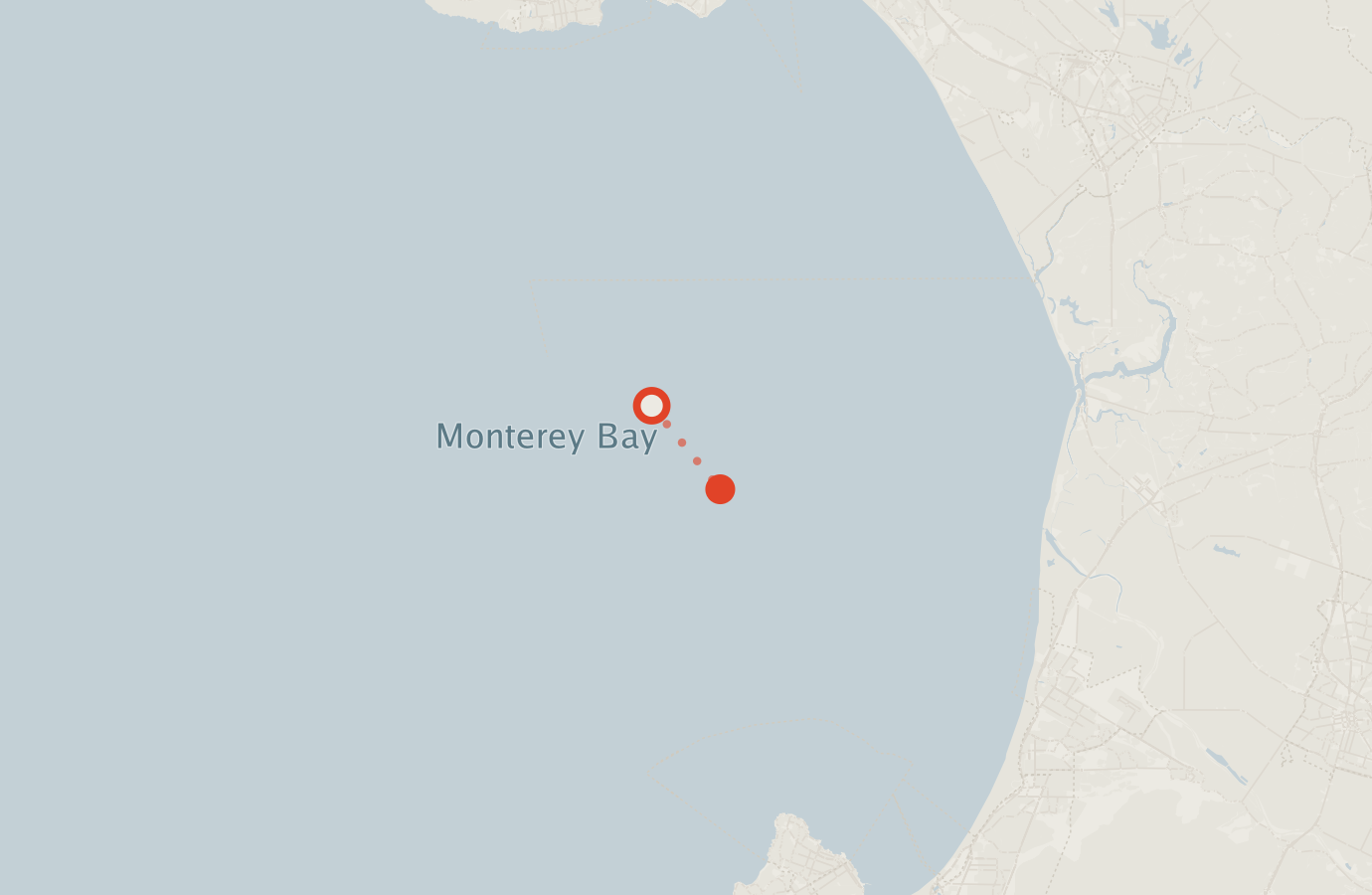Activity map — real sighting points on an OpenStreetMap basemap