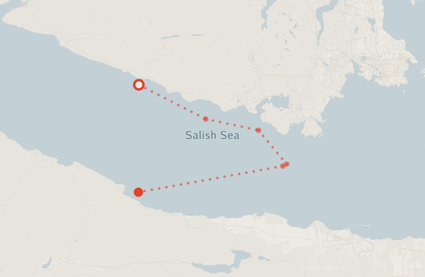 Activity map — real sighting points on an OpenStreetMap basemap