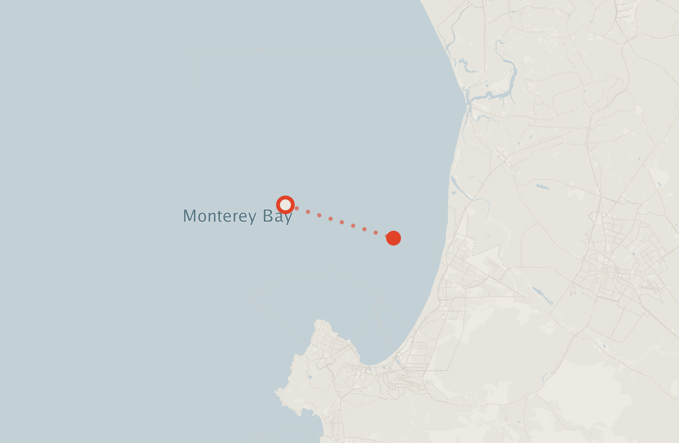 Activity map — real sighting points on an OpenStreetMap basemap