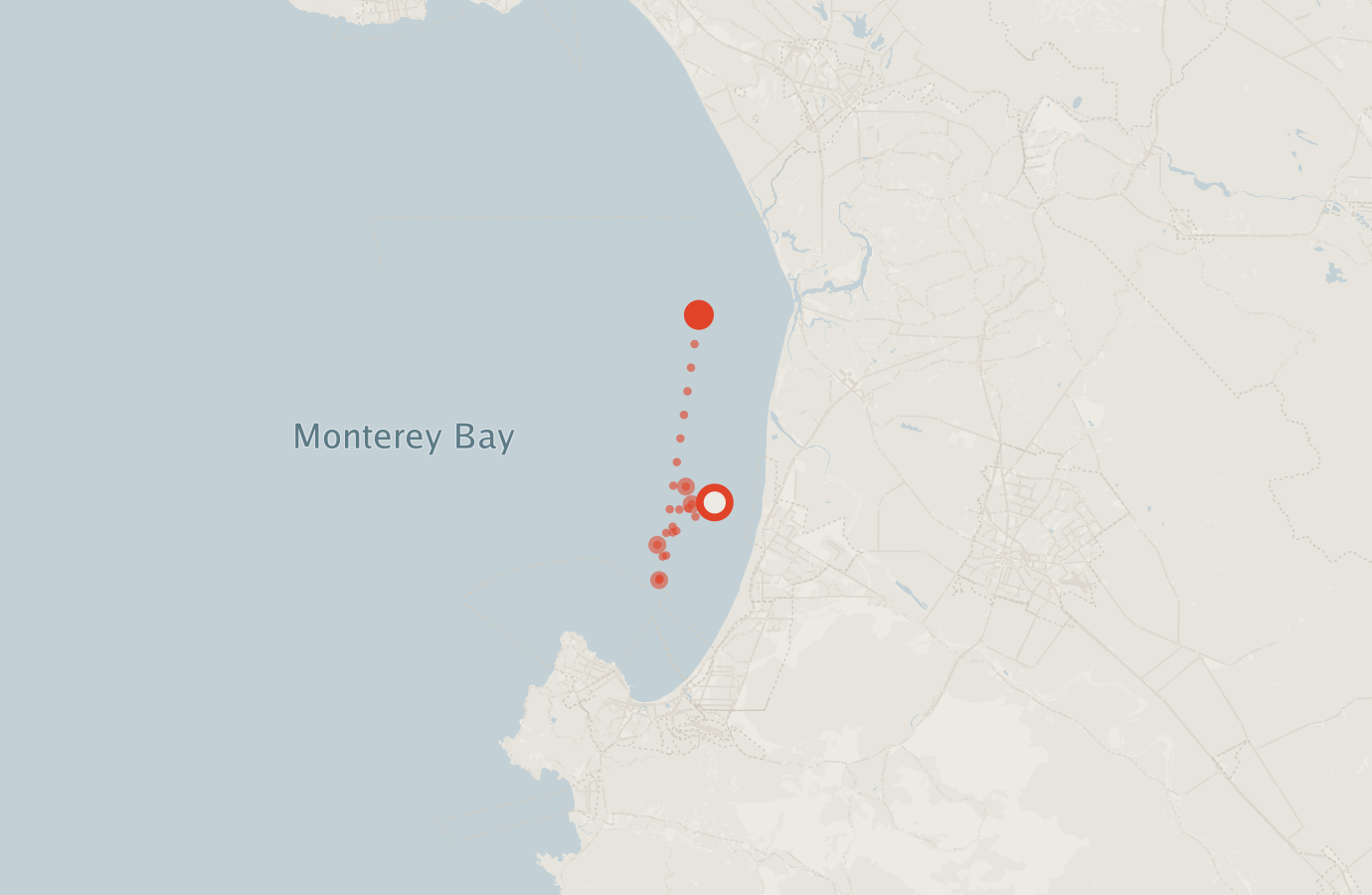 Activity map — real sighting points on an OpenStreetMap basemap