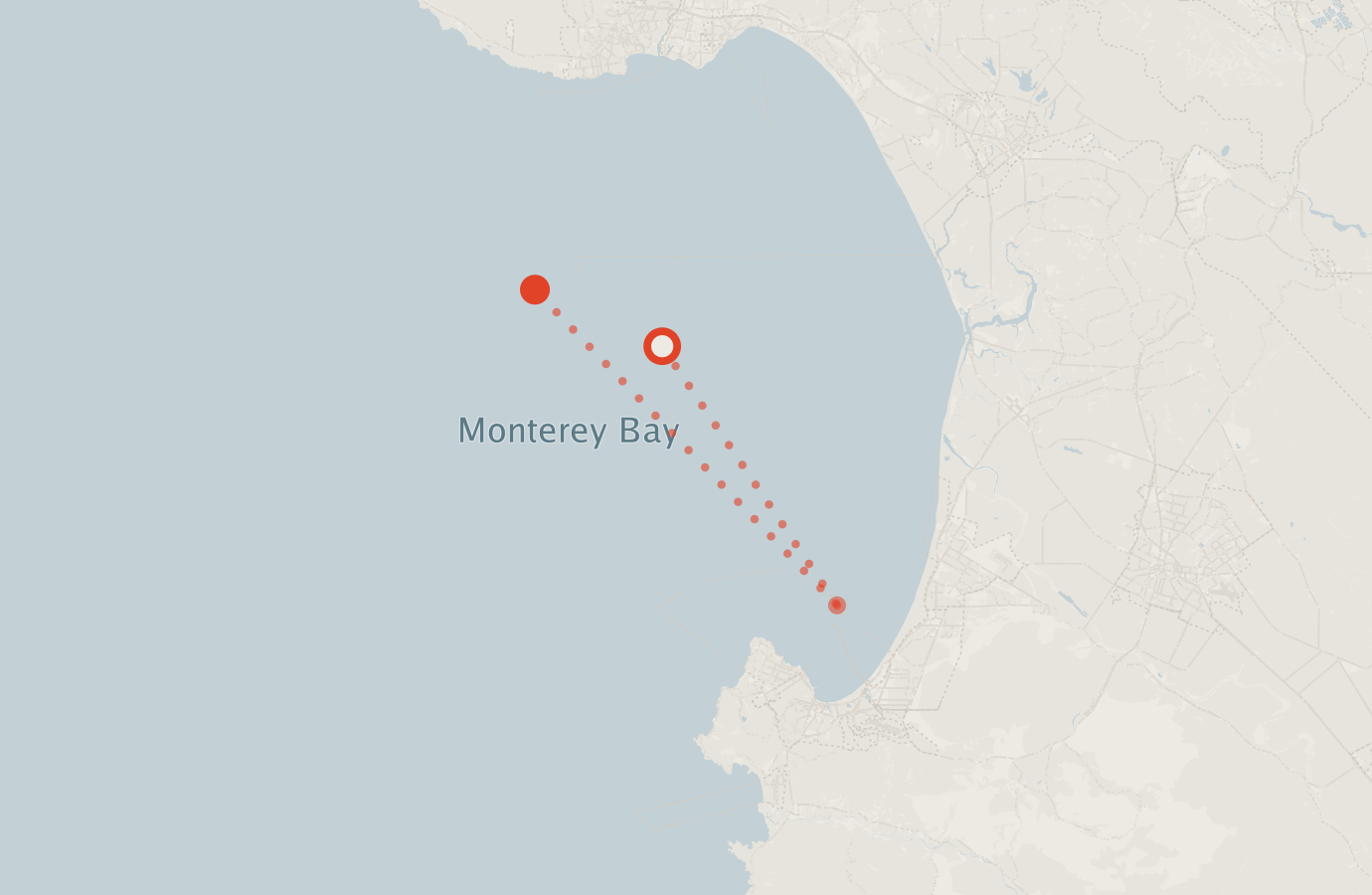 Activity map — real sighting points on an OpenStreetMap basemap