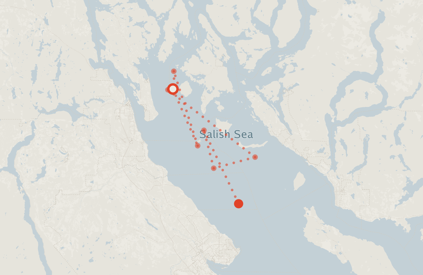 Activity map — real sighting points on an OpenStreetMap basemap