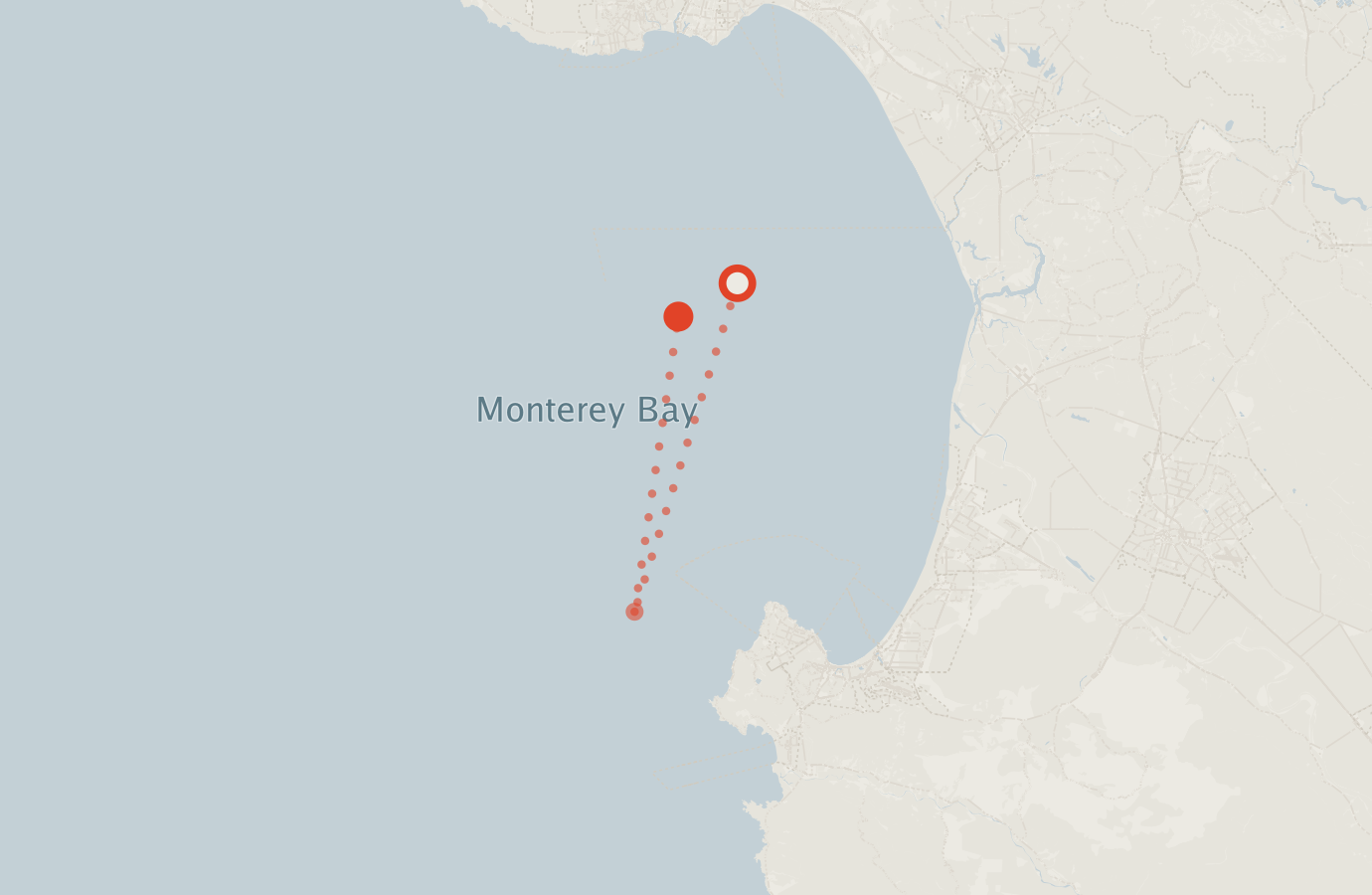 Activity map — real sighting points on an OpenStreetMap basemap