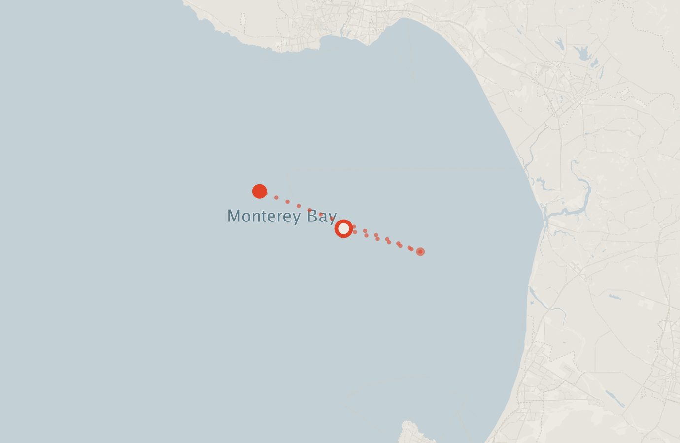 Activity map — real sighting points on an OpenStreetMap basemap