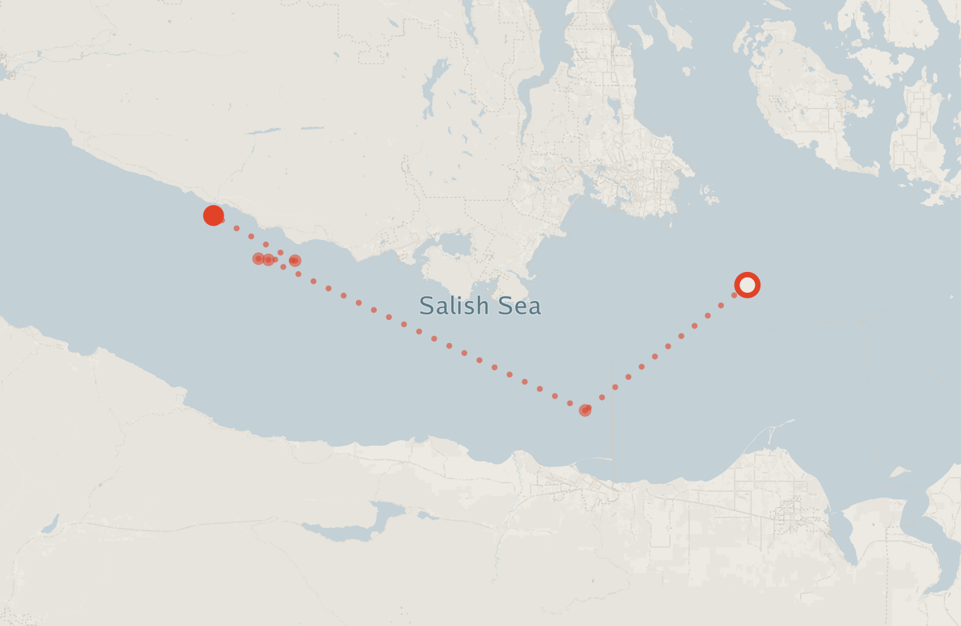 Activity map — real sighting points on an OpenStreetMap basemap