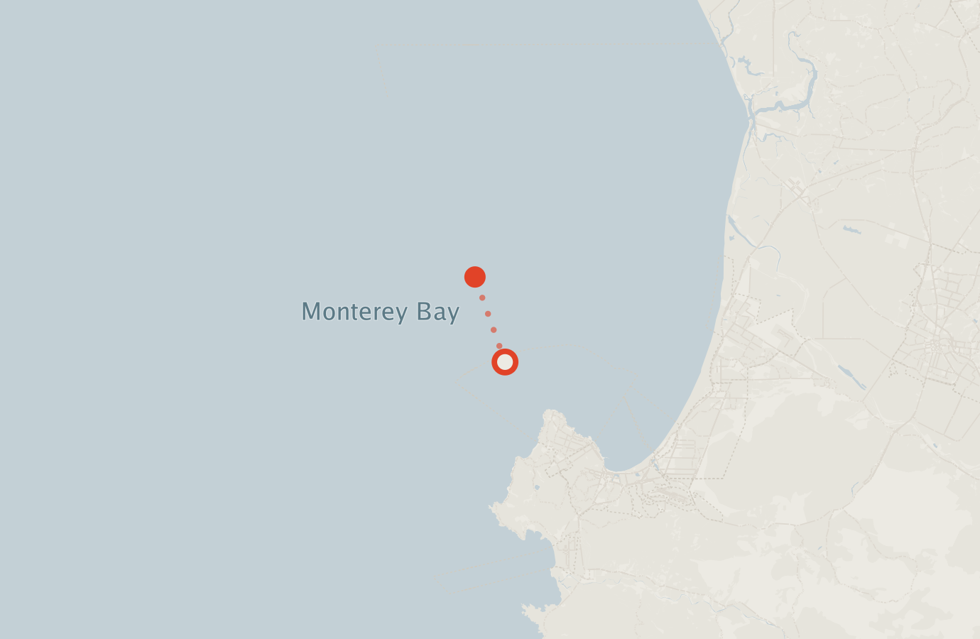 Activity map — real sighting points on an OpenStreetMap basemap