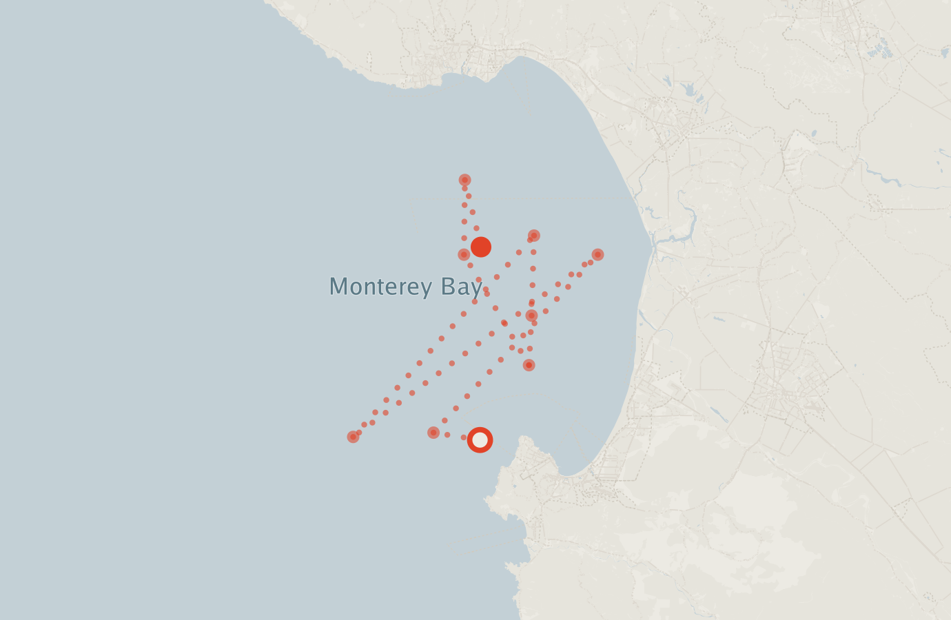 Activity map — real sighting points on an OpenStreetMap basemap