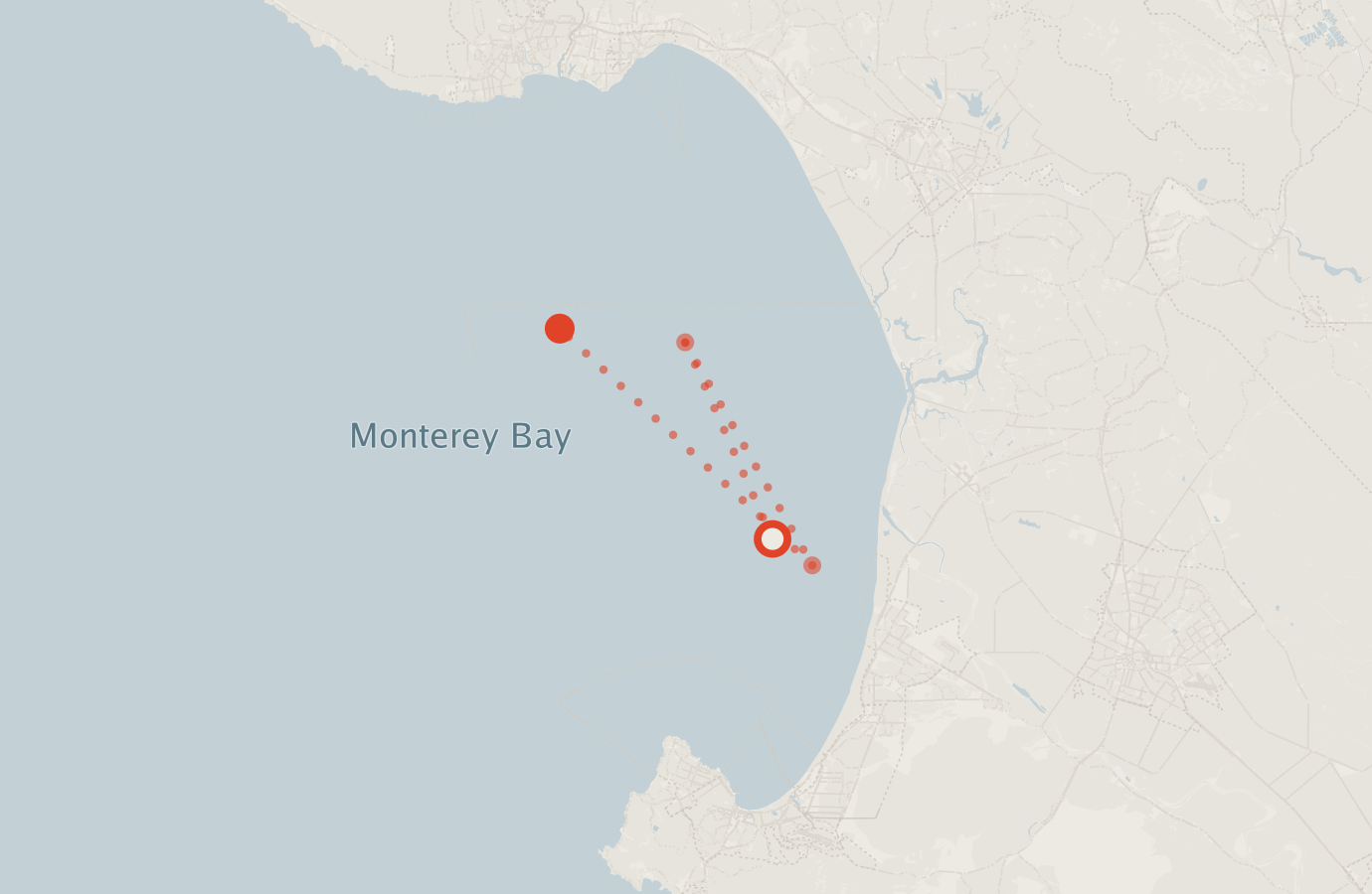 Activity map — real sighting points on an OpenStreetMap basemap