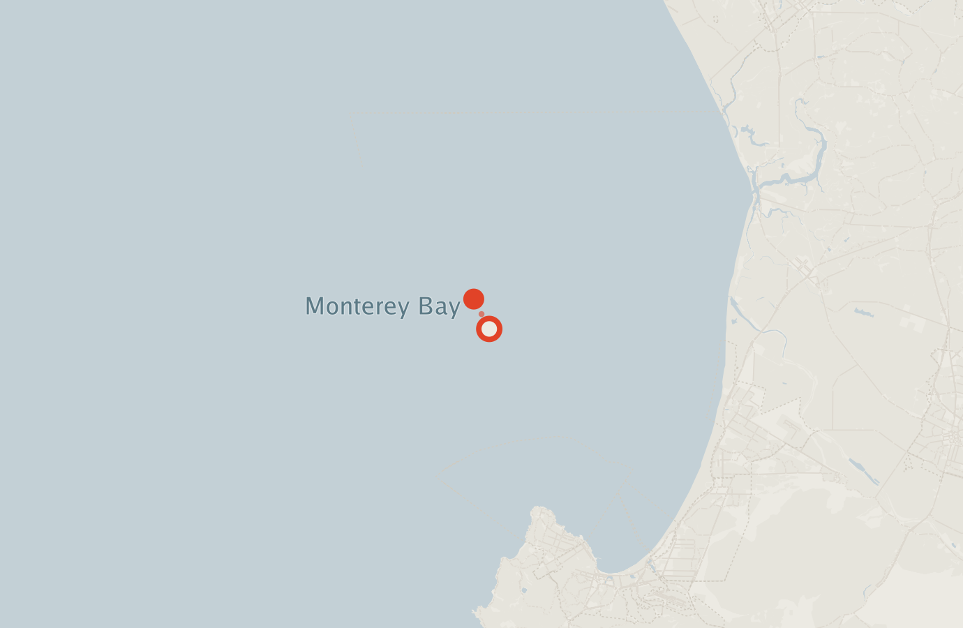 Activity map — real sighting points on an OpenStreetMap basemap
