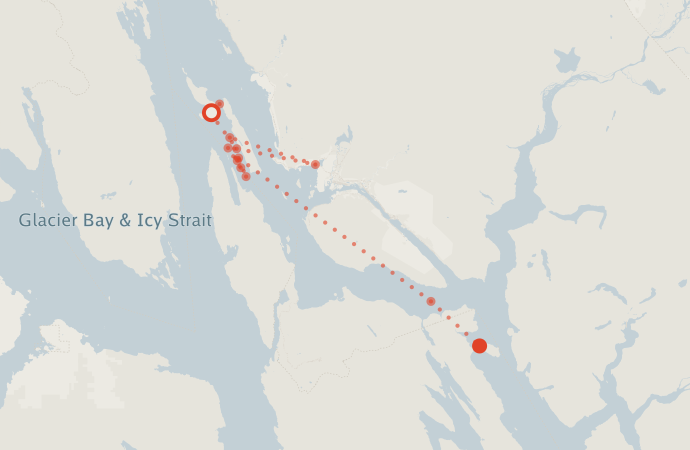 Activity map — real sighting points on an OpenStreetMap basemap