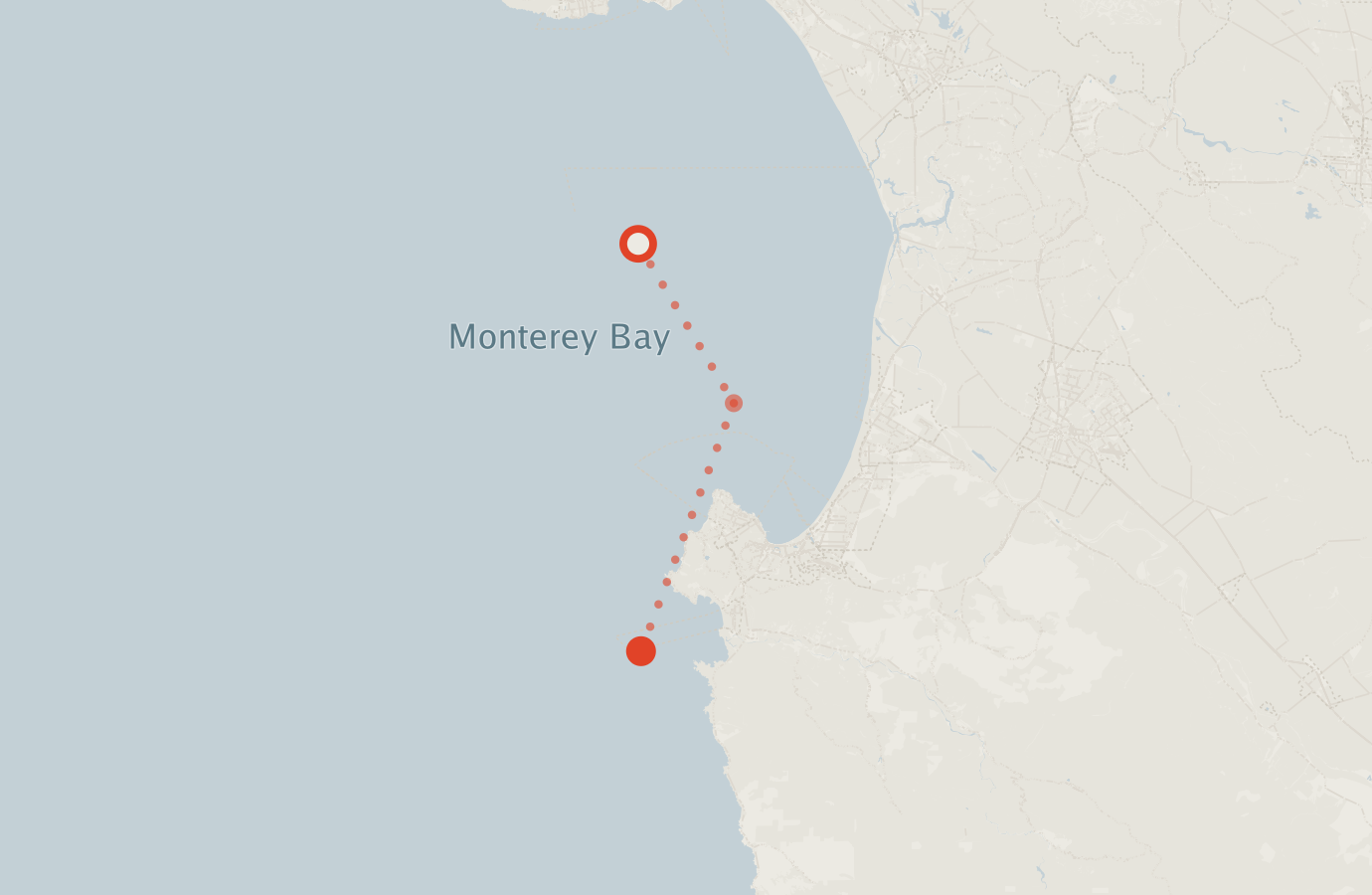 Activity map — real sighting points on an OpenStreetMap basemap
